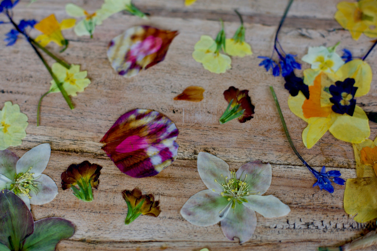 Craft Ideas For Kids  Pressed Flower Art – Conscious Craft