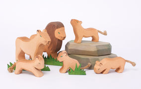 Animals and the Ark | Conscious Craft