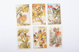 Cicely Mary Barker | 100 Postcards | ©️Conscious Craft