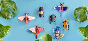 Studio Roof | Conscious Craft