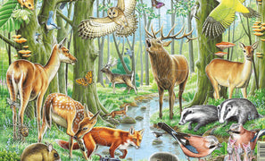 Larsen Puzzles