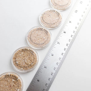 Stemcell Japanese Star Sand | Conscious Craft