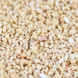 Stemcell Japanese Star Sand | Conscious Craft