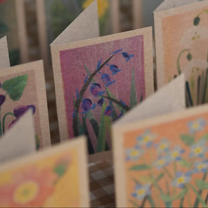 Whispers of the Wild | Wildflower Cards & Guidebook