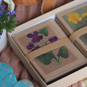 Whispers of the Wild | Wildflower Cards & Guidebook