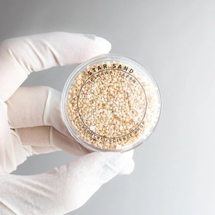 Stemcell Japanese Star Sand | Conscious Craft