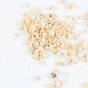 Stemcell Japanese Star Sand | Conscious Craft