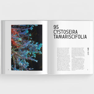 The Universe in 100 Colours