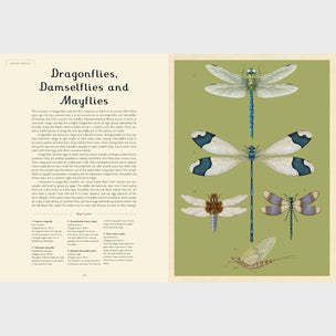 Insectarium | Welcome to the Museum