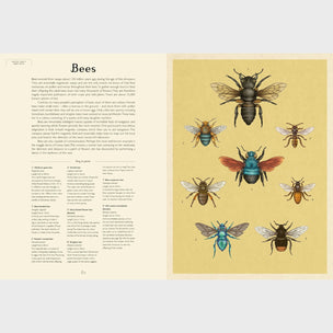 Insectarium | Welcome to the Museum