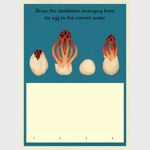 Fungarium Activity Book