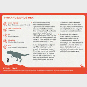 Dinosaur Deck