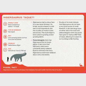 Dinosaur Deck