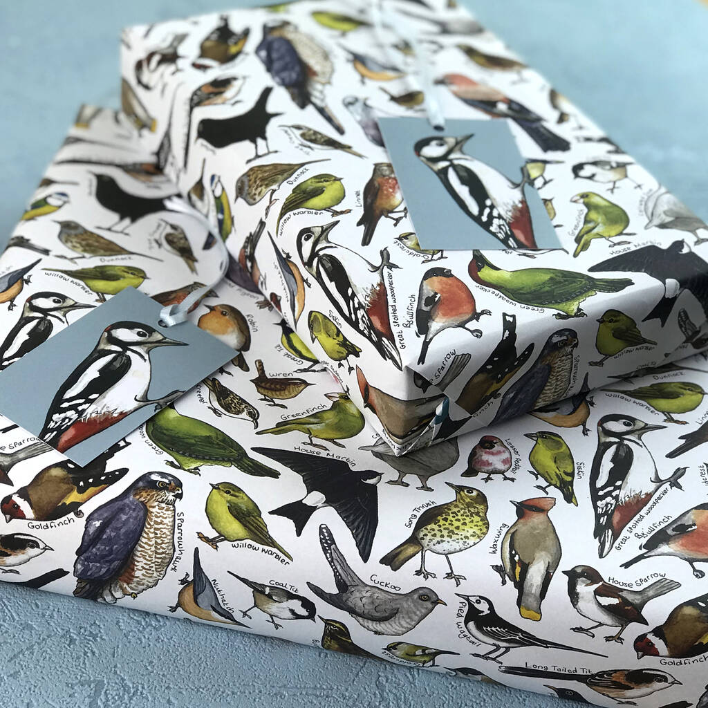 Bees Of Britain Wrapping Paper Set By Alexia Claire