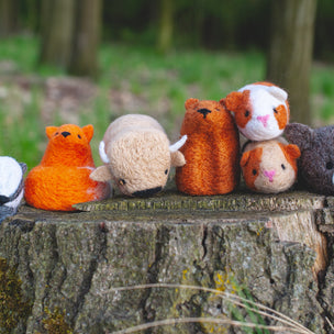 Felting Kit | Bear