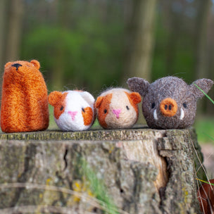 Creative Felting  Kit | Boar | Conscious Craft