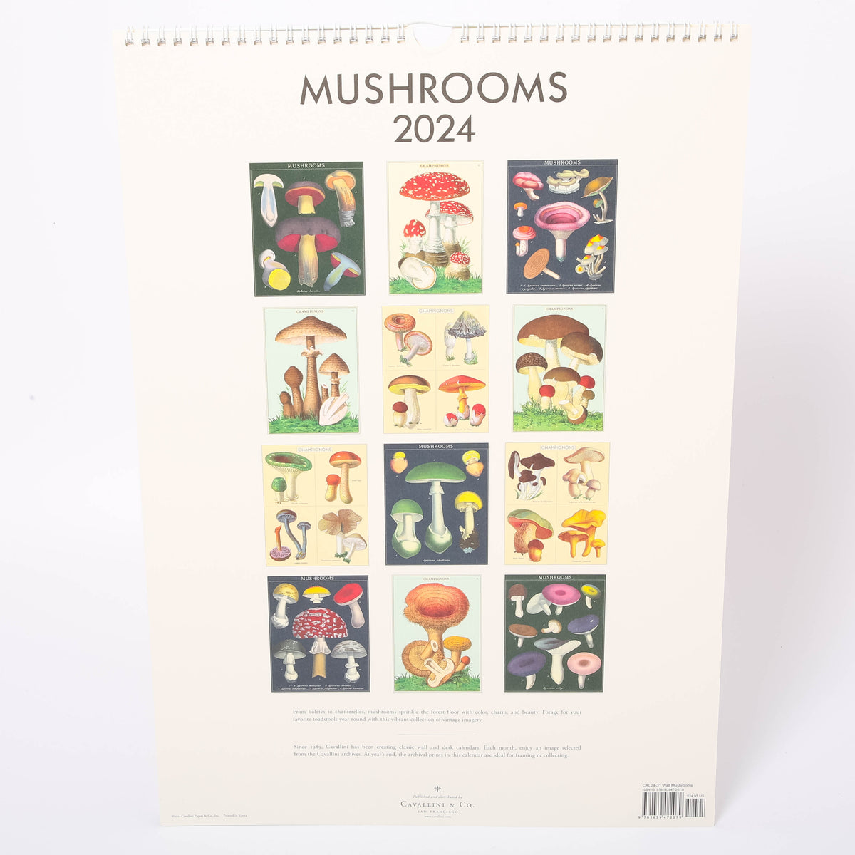 Cavallini Wall Calendar Mushrooms Conscious Craft