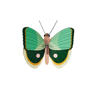 Fern Striped Butterfly