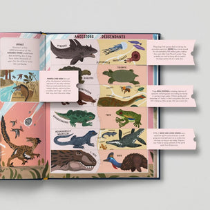Encyclopaedia of Dinosaurs | Conscious craft