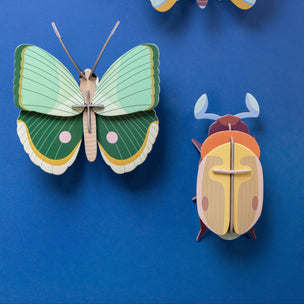 Fern Striped Butterfly