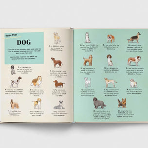 Name That Thing | Conscious craft