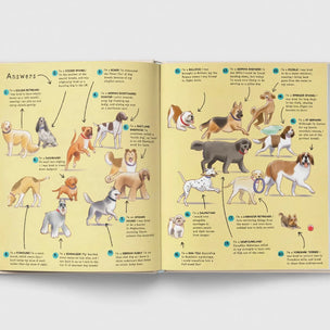 Name That Thing | Conscious craft