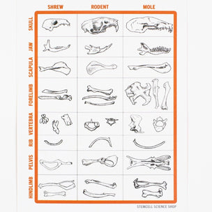 Stemcell Owl Pellet Dissection Pack | Conscious Craft