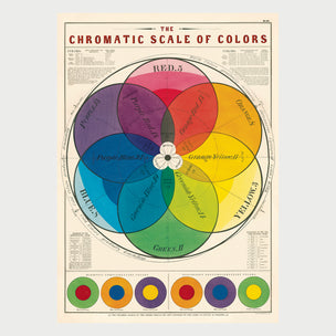 Cavallini Chromatic Scale of Colour | Conscious Craft