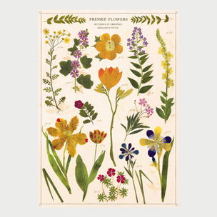 Cavallini Pressed Flowers | Wrap | Conscious Craft
