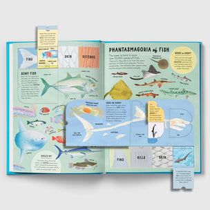 The Lift-the-Flap Encyclopaedia of Oceans