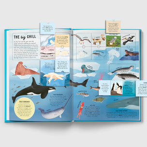 The Lift-the-Flap Encyclopaedia of Oceans