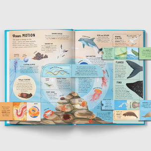The Lift-the-Flap Encyclopaedia of Oceans