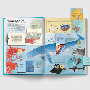 The Lift-the-Flap Encyclopaedia of Oceans