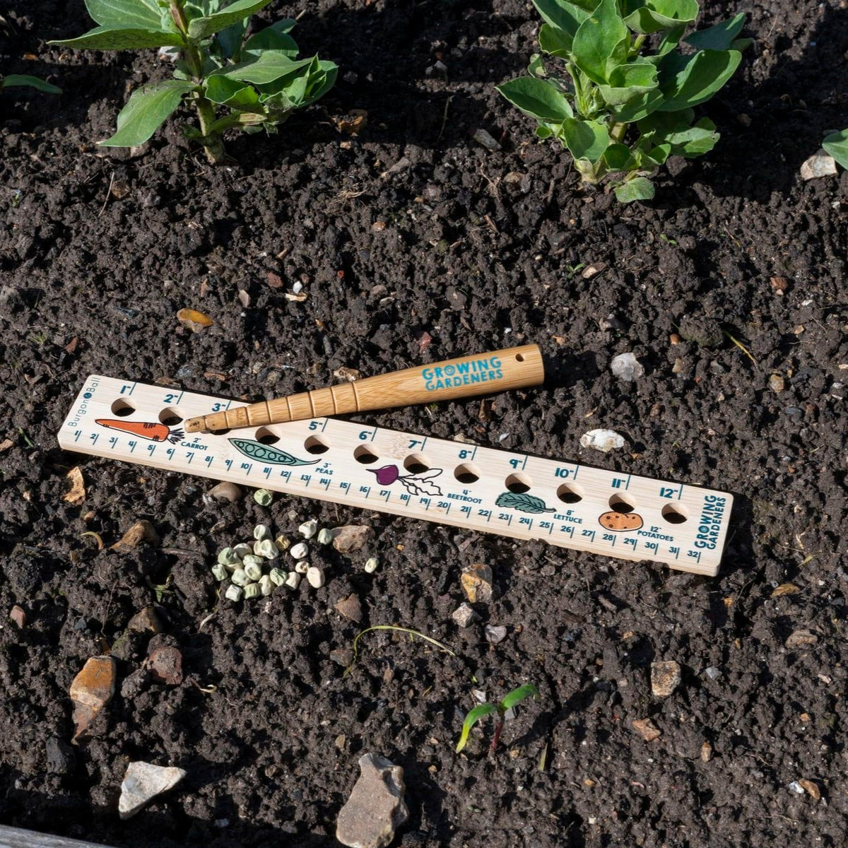seed and plant spacing ruler & dibblet set Planting Ruler and Dibber Set