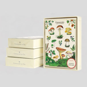 Cavallini Foraging Boxed Note Cards | Conscious Craft