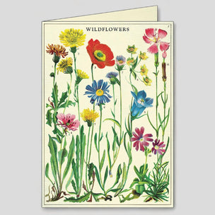 Cavallini Wildflowers Boxed Note Cards | Conscious Craft