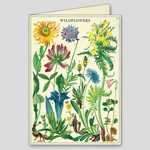 Cavallini Wildflowers Boxed Note Cards | Conscious Craft