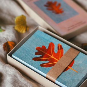 "Leaf cards" 60 Identification Flash Cards & Memory Game