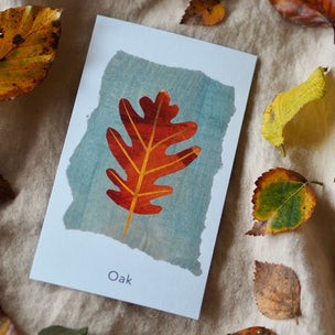 "Leaf cards" 60 Identification Flash Cards & Memory Game