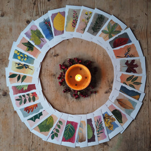 "Leaf cards" 60 Identification Flash Cards & Memory Game