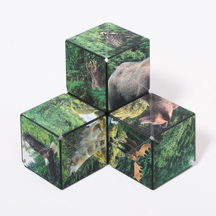 Shashibo magnetic cube puzzle Forest | © Conscious Craft