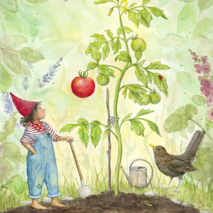 Mhairi Hellbrandt Postcard | The First Ripe Tomato