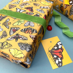 Moths of Britain | Wrapping Paper Sheets | Conscious Craft