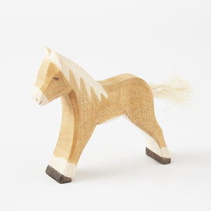 Haflinger Colt from Ostheimer