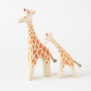 Mum Giraffe and Young Giraffe