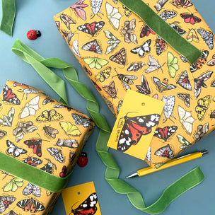 Moths of Britain | Wrapping Paper Sheets | Conscious Craft