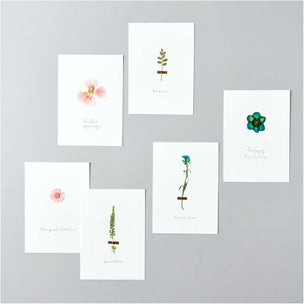 Pressed Flower Set | Orange Turquoise