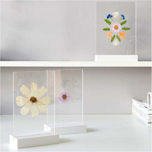 Pressed Flower Set | White Violet | Conscious Craft