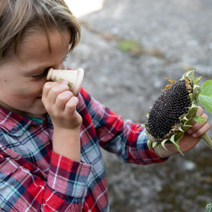 The Den Kit Company | Patterns in Nature Kit | Conscious Craft