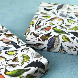 Garden Birds of Britain | Wrapping Paper | Conscious Craft